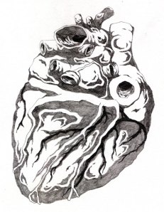 heart-drawing