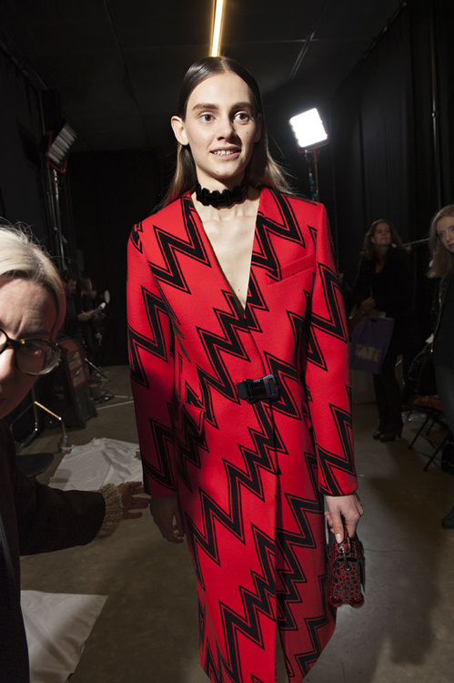 dsc084__mic1161_jpg_2428_north_499x_white